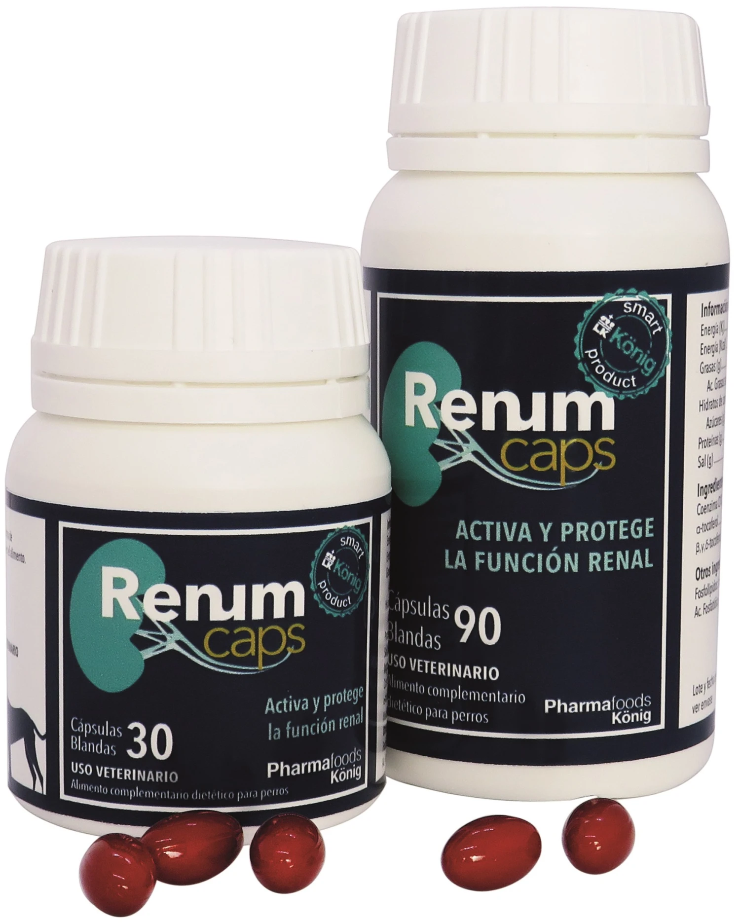 Renum Activa Y Protege La Función Renal 3 Renum Activa Y Protege La Función Renal
