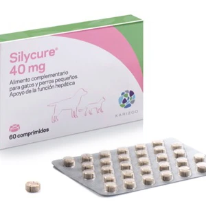 Silycure 40Mg 3 Silycure 40Mg
