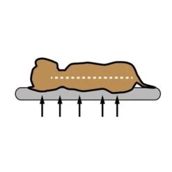 Cojín Ortopédico Pawz & Pepper Denver 18 Cojín Ortopédico Pawz & Pepper Denver -Productos Para Perros skizze memory foam 1