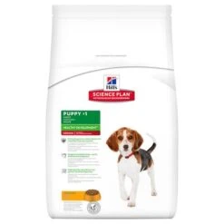 Hill's Science Plan Hill's Puppy <1 Medium Science Plan Con Pollo 11 Hill's Science Plan Hill's Puppy <1 Medium Science Plan Con Pollo -Productos Para Perros sp puppy medium chicken 9263n ff 0