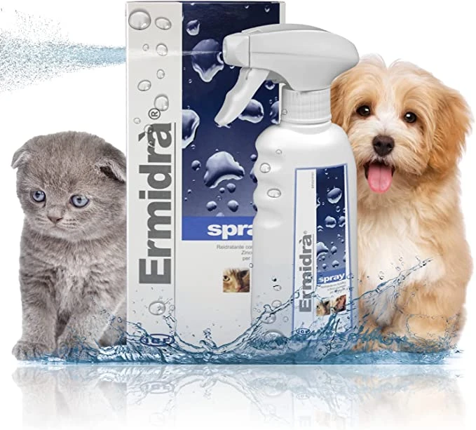 Ermidra Spray 4 Ermidra Spray - Imagen 2