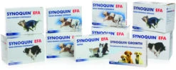 Synoquin Condroprotector Articular Para Perros Medianos En Comprimidos -Productos Para Perros synoquin condroprotector articular para perros medianos en comprimidos 2