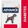 Advance Diabetes Veterinary Diets Pienso Para Perros -Productos Para Perros u02 surfnjixotjfsevst19wqvjjrurbrc5qcgc 1521571154815 6