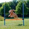 Trixie Valla De Agility Para Perros -Productos Para Perros valla de agility para perros