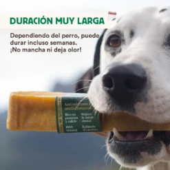 Mordedor Natural Leche De Yak Del Himalaya Con Cúrcuma Para Perros 14 Mordedor Natural Leche De Yak Del Himalaya Con Cúrcuma Para Perros -Productos Para Perros wild yaky mordedor barrita leche yak himalaya curcuma 4 min 63733b737021d
