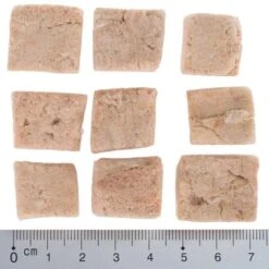 Pack De Prueba Mixto: Wolf Of Wilderness Snacks Liofilizados Premium -Productos Para Perros wow fd snack blue river cubes with ruler 4