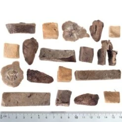 Calendario De Adviento 2023 Para Perros De Wolf Of Wilderness Sin Cereales -Productos Para Perros wow raw mixed fg 5427 2