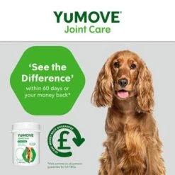 YuMOVE Cuidado Articular Para Perros Adultos -Productos Para Perros yumove joint care adult 300 5 3