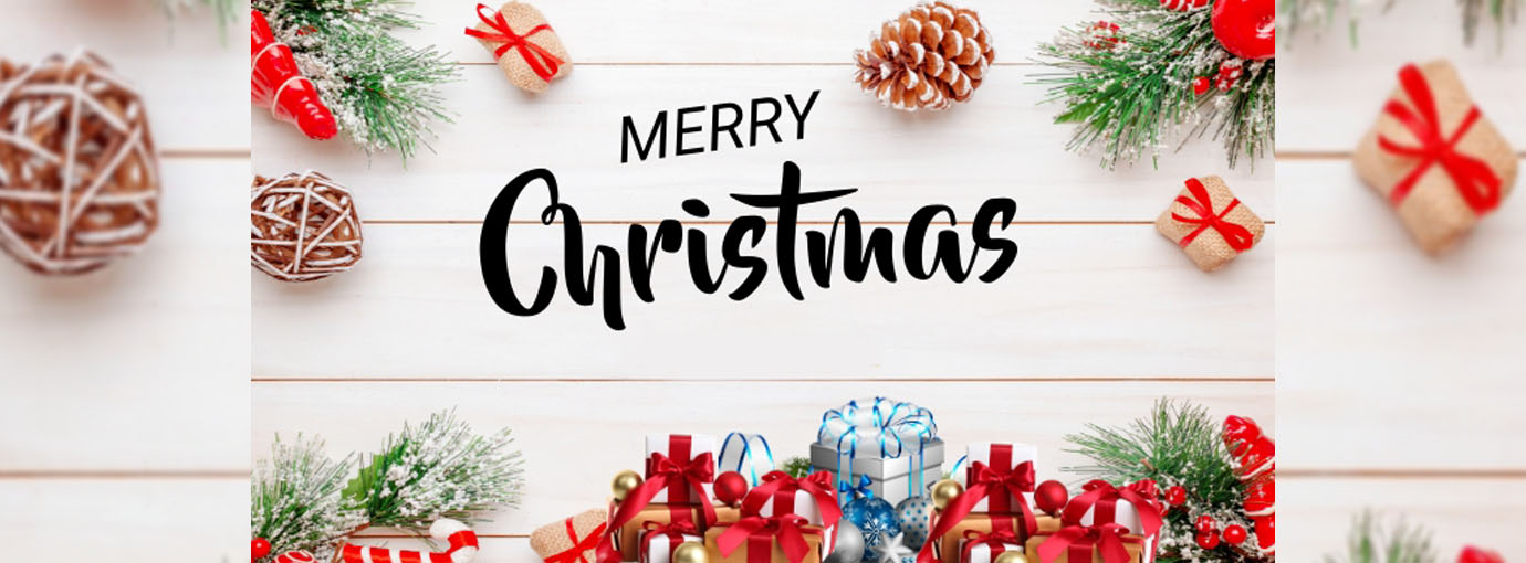 Productos Para Perros -Productos Para Perros 5